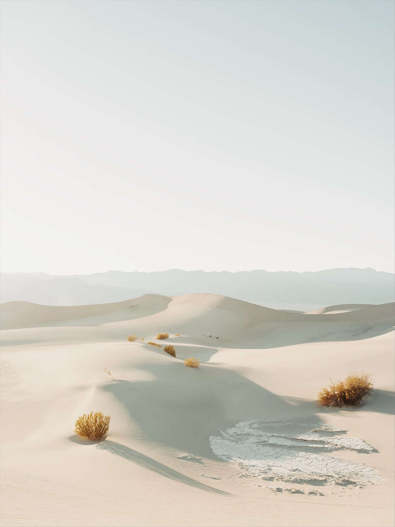 Mojave_Desert_by_photographer_Julius_Hirtzberger